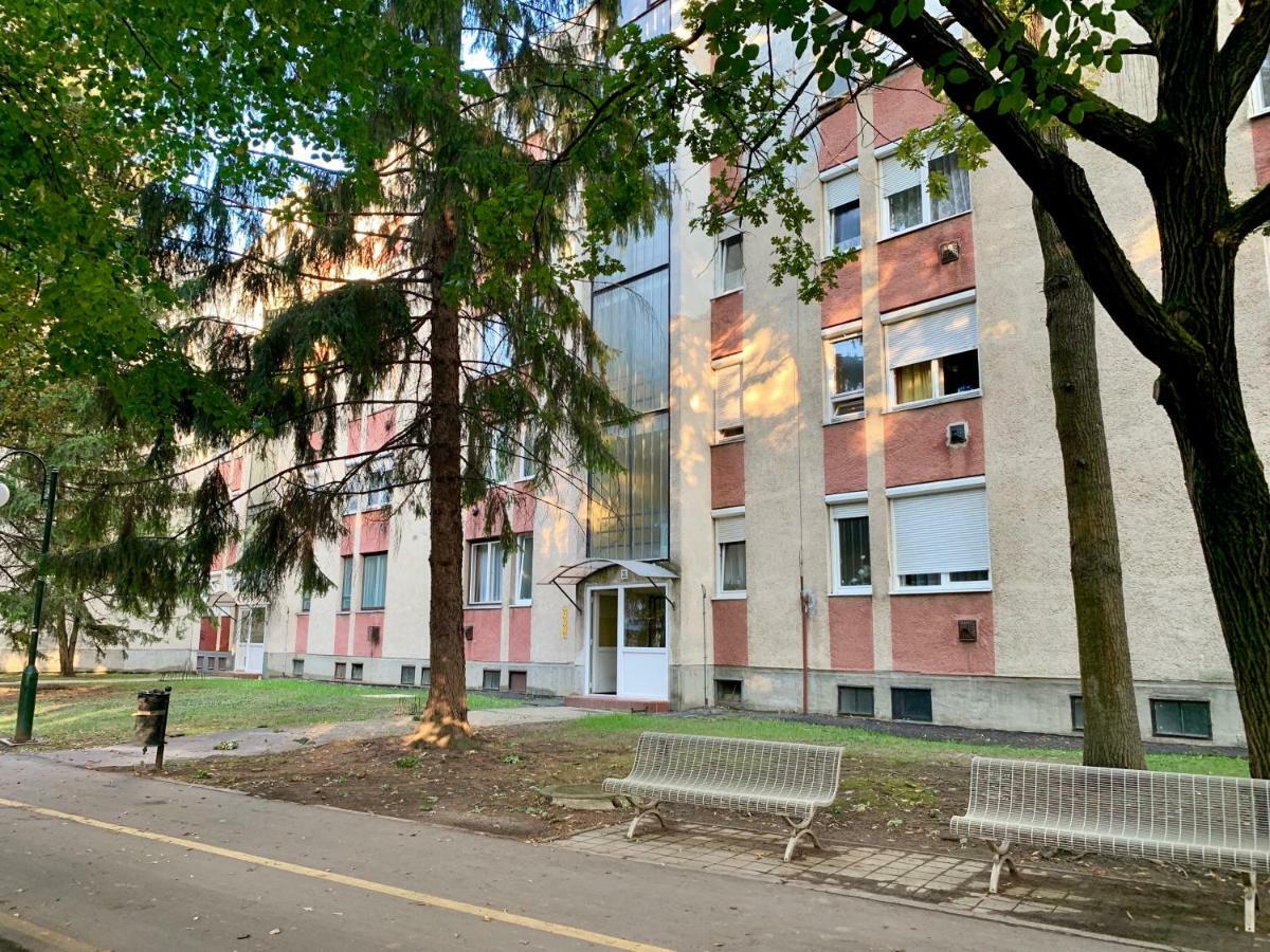 Anita Apartman Hajdúszoboszló Εξωτερικό φωτογραφία